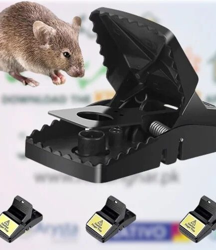 Heavy Duty Plastic Mouse Trap | Reuseable Mouse Catcher